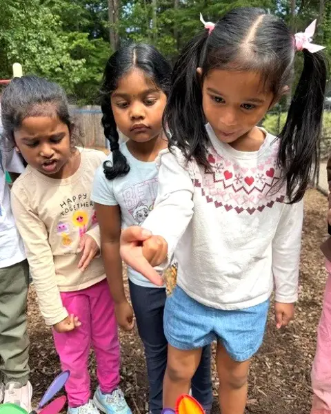 91 Butterfly Release Web
